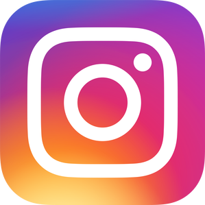 Instagram Social Media Icon